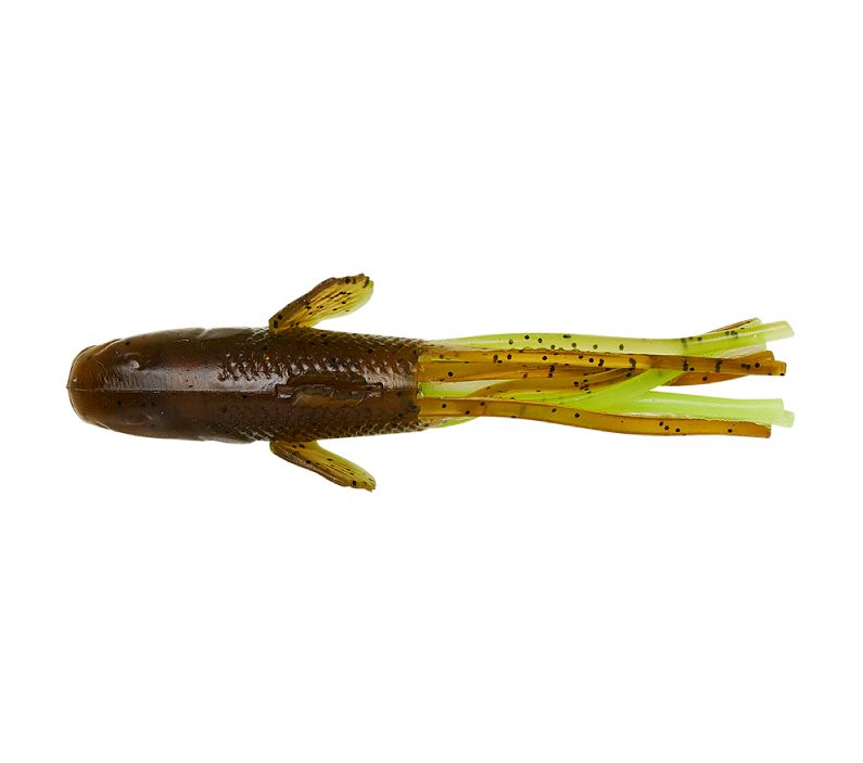 Ned Goby