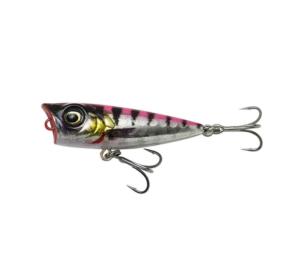 3D Minnow Popper