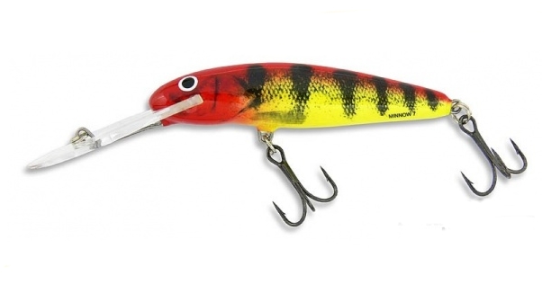 Salmo Minnow