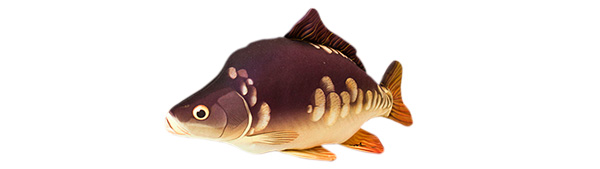 Párna - hal alakú